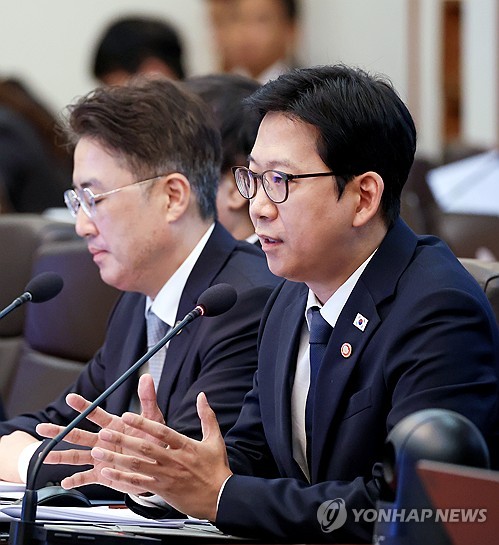 발언하는 배경훈 부총리