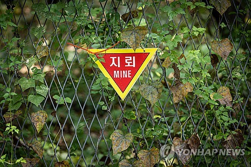 서부전선 DMZ 민통선의 지뢰 경고 표지판