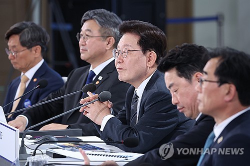 李대통령 "개혁, 정치적 성과·환호 위한 것 아냐…실용개혁 흔들림 없이 추진"_황남경