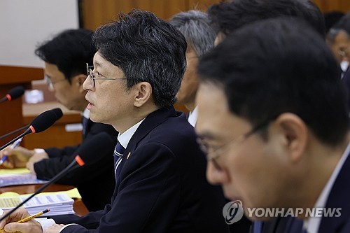 국감 답변하는 홍지선 장관
