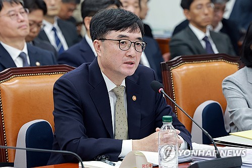 국정감사에서 답변하는 임기근 국조실장