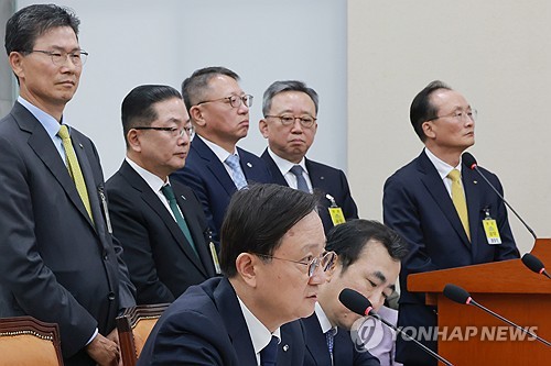 금융위 국감 나온 5대 은행장, 답변하는 금감원장