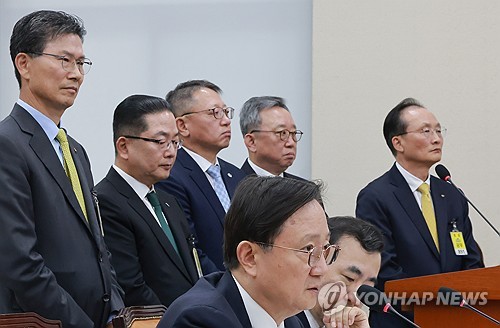 금융위 국감 나온 5대 은행장, 답변하는 금감원장