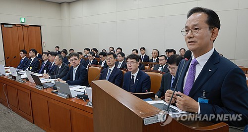 한국수출입은행 대상 국감 나온 김종출 KAI 사장