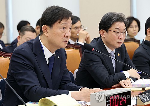정무위 국감 답변하는 이찬진 금융감독원장