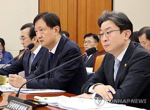 정무위 국감 답변하는 이찬진 금융감독원장