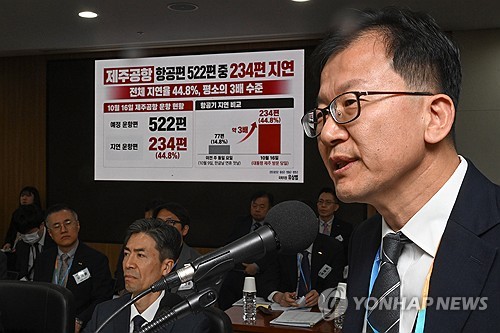 질의에 답하는 정채교 국토부 항공정책실장