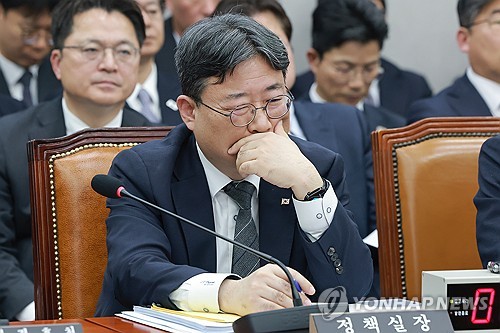 운영위 국감 나온 하준경 정책실장